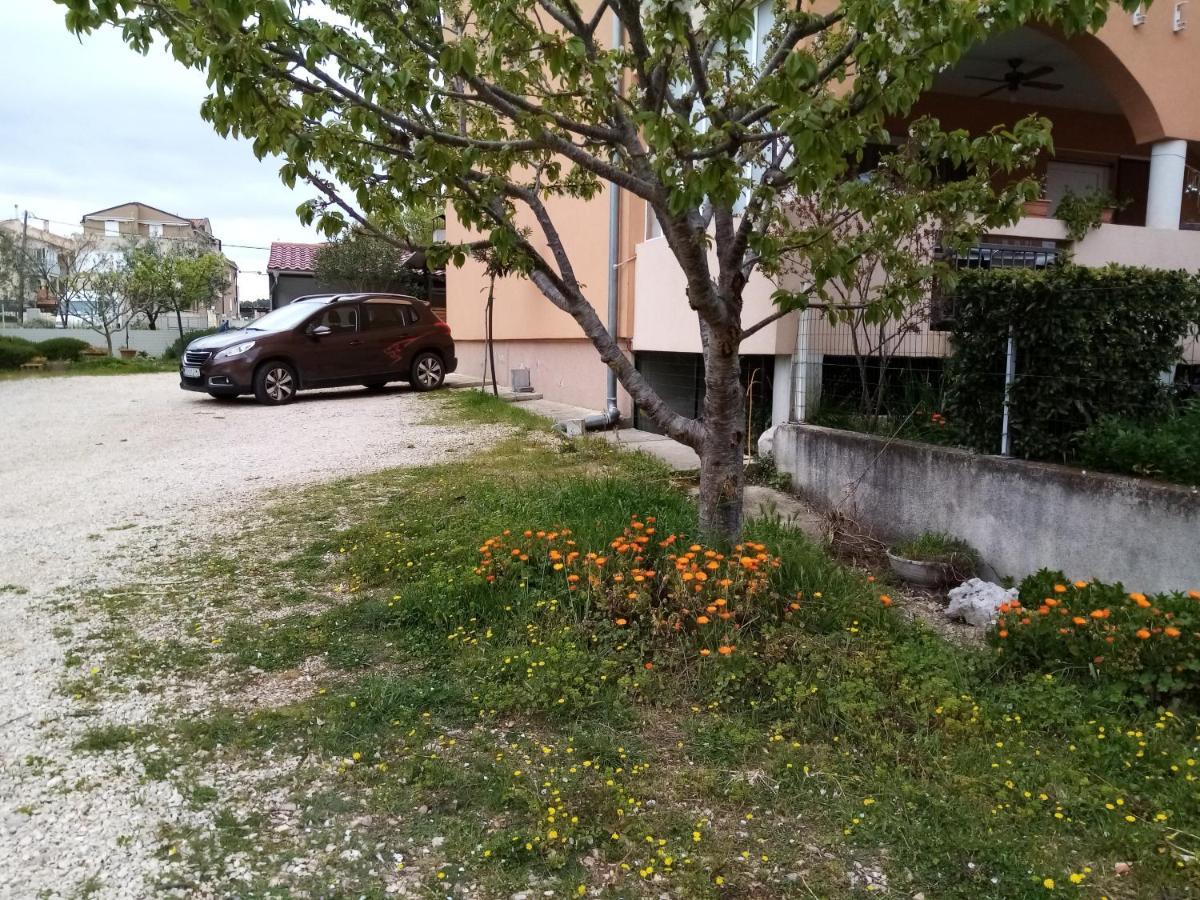 Apartments Vanja Skara Biograd Biograd Na Moru Dış mekan fotoğraf