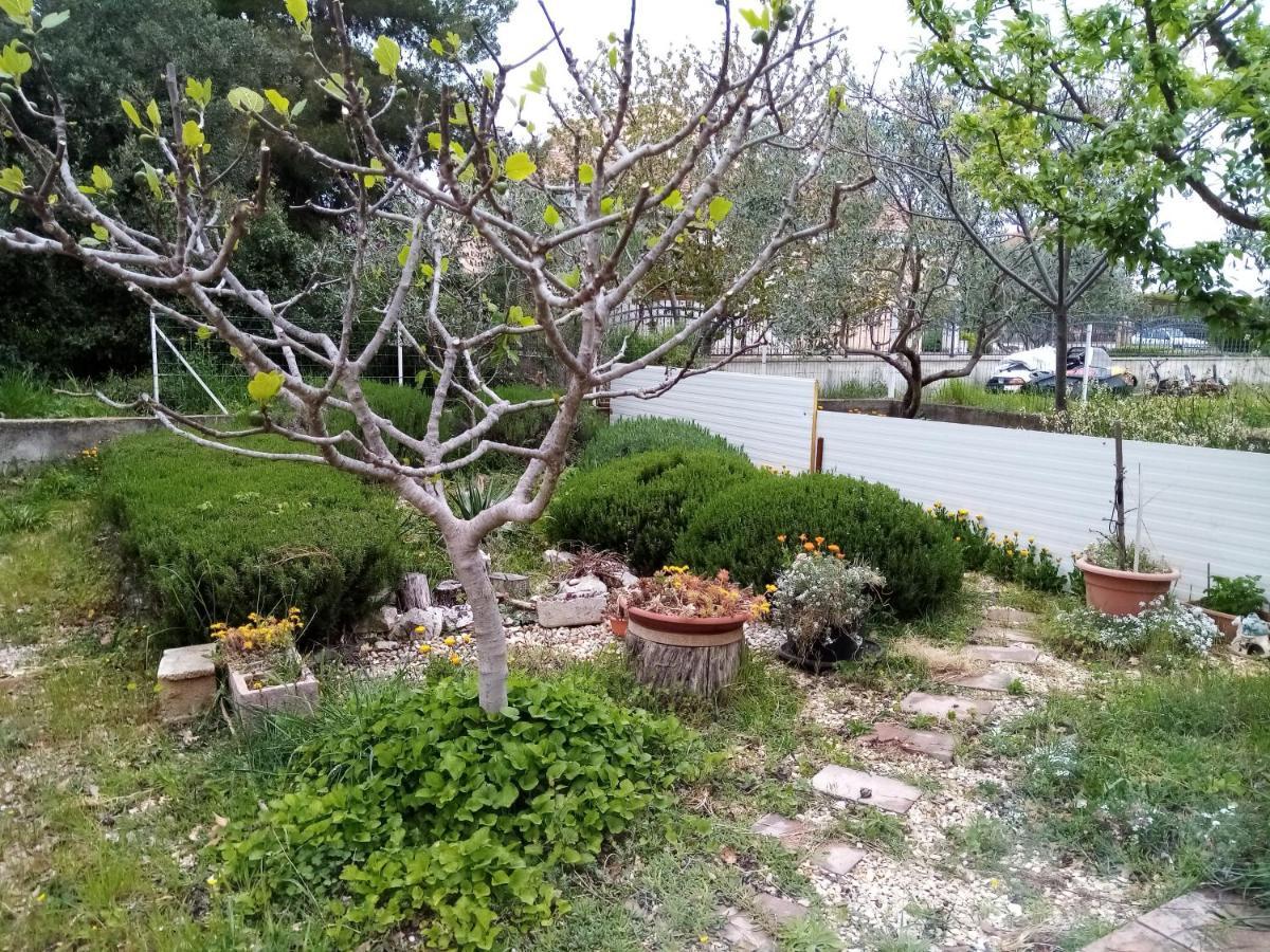 Apartments Vanja Skara Biograd Biograd Na Moru Dış mekan fotoğraf