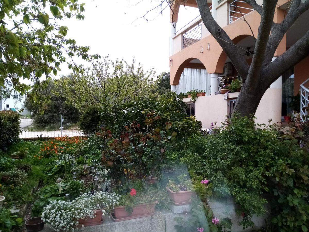 Apartments Vanja Skara Biograd Biograd Na Moru Dış mekan fotoğraf