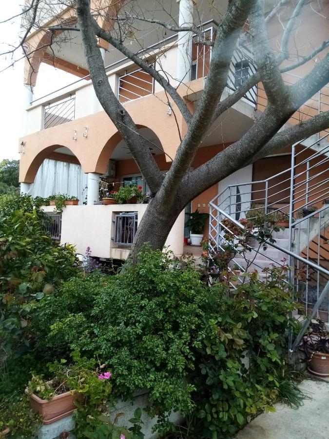 Apartments Vanja Skara Biograd Biograd Na Moru Dış mekan fotoğraf